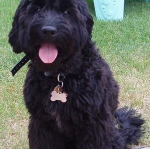 Meet your Posher, Tabitha